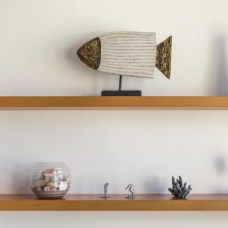 Llenaire Cerca Playa Port de Pollença